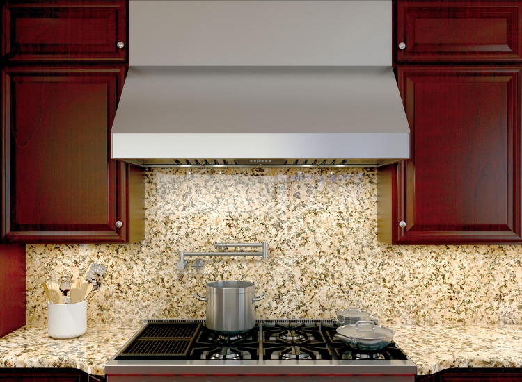 壁掛式 專業型排油煙機