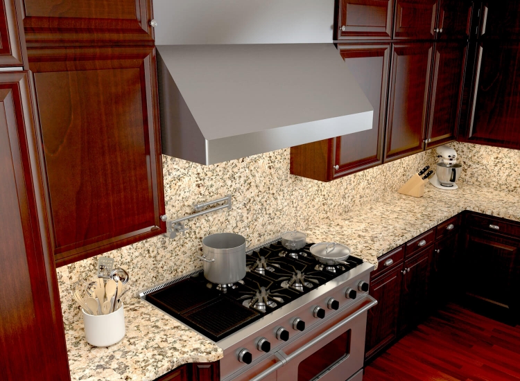 壁掛式 專業型排油煙機(91.2&121.6cm)-2