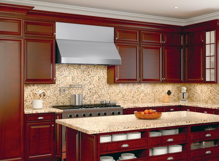 壁掛式 專業型排油煙機(91.2&121.6cm)-3