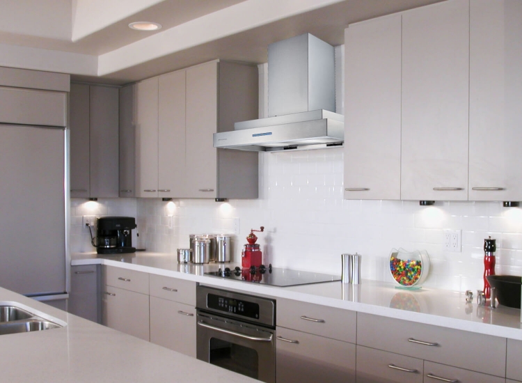 蒸好洗雙層倒T排油煙機-2